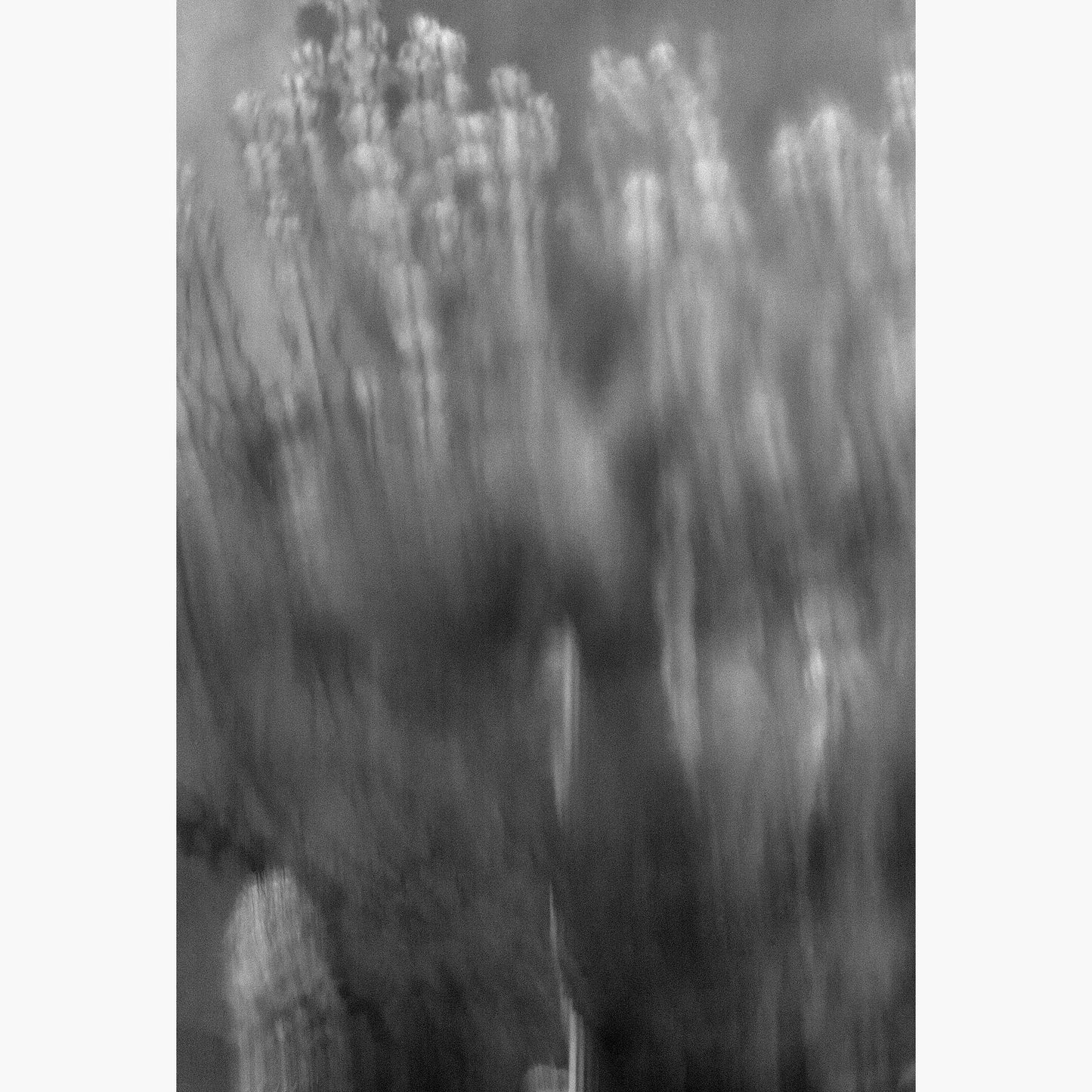 Still life 4