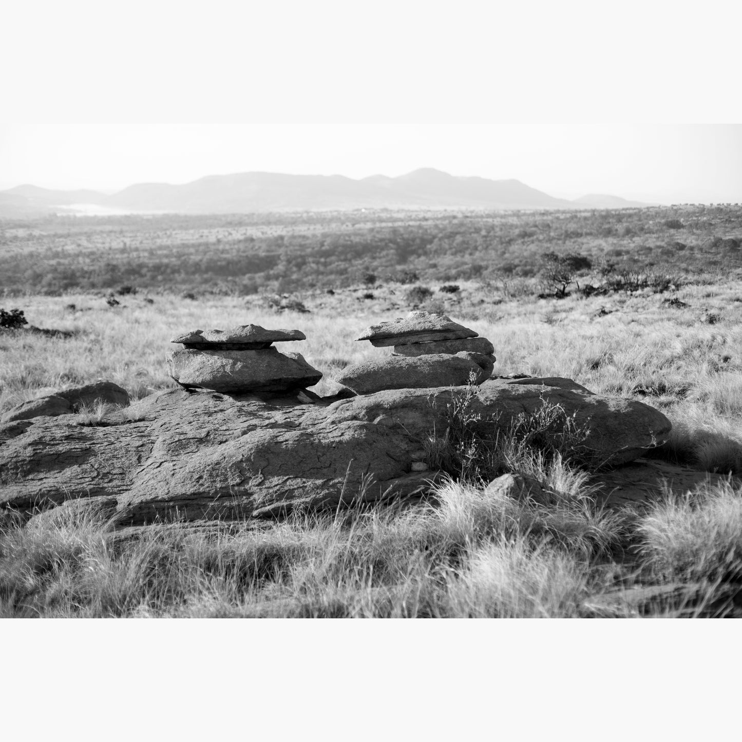 Magalies 18
