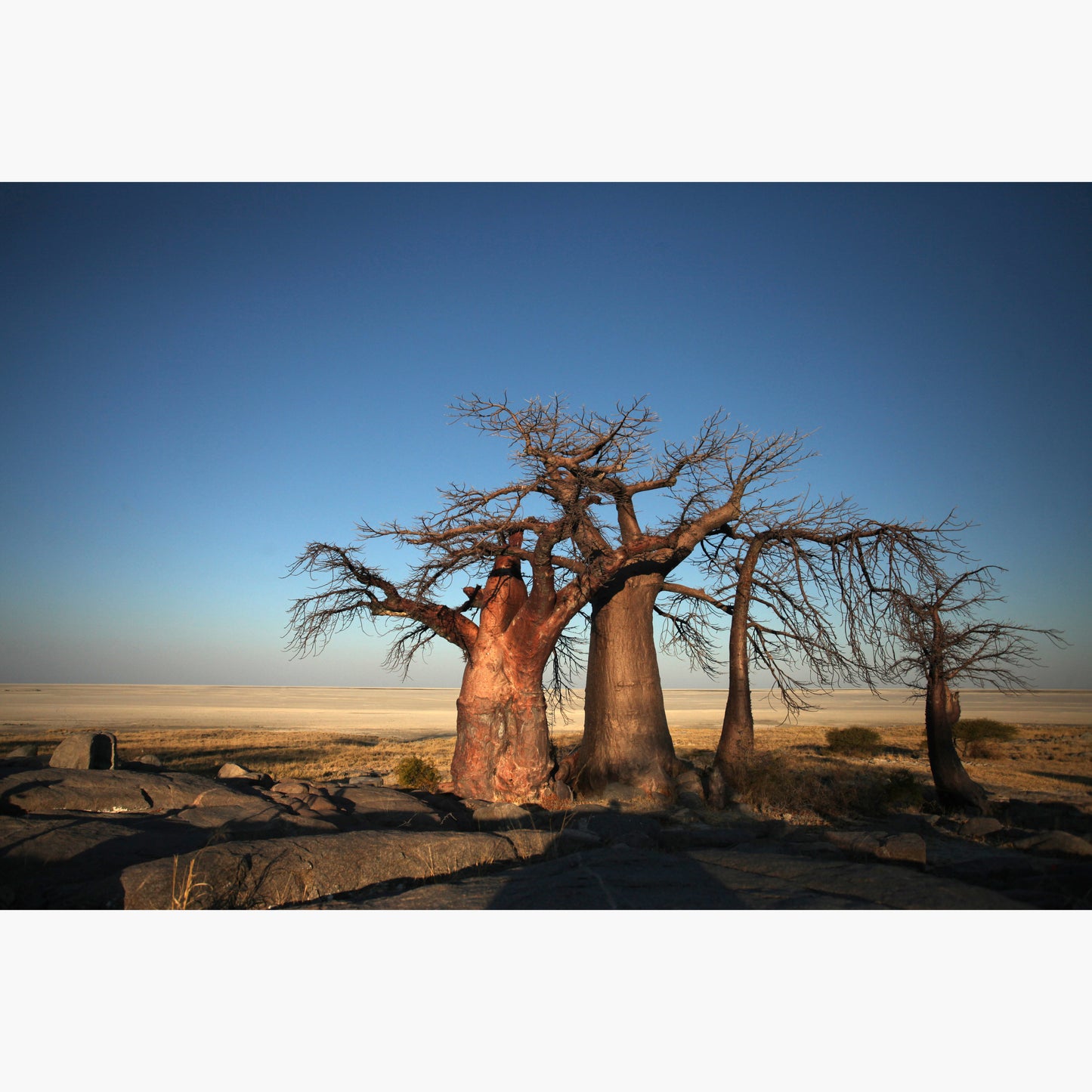 Landscapes 6