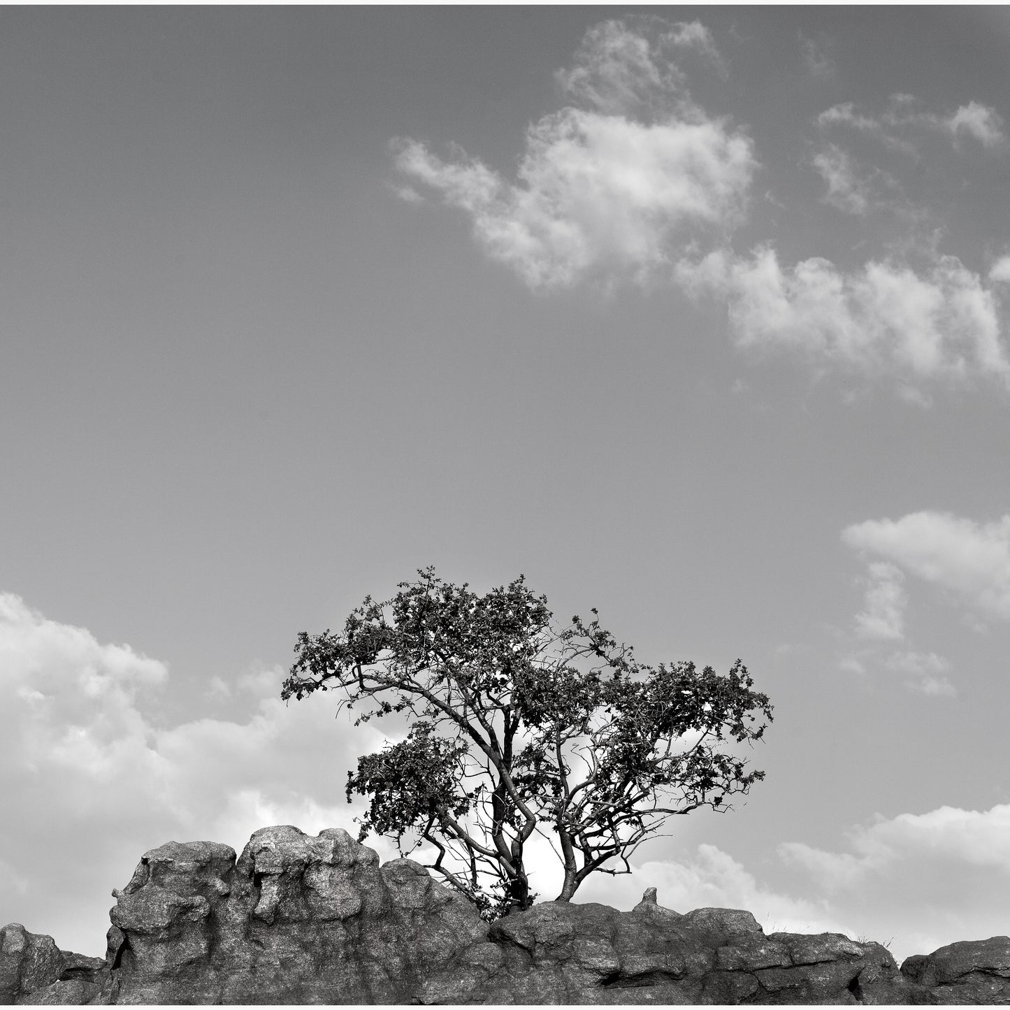 Magalies 10