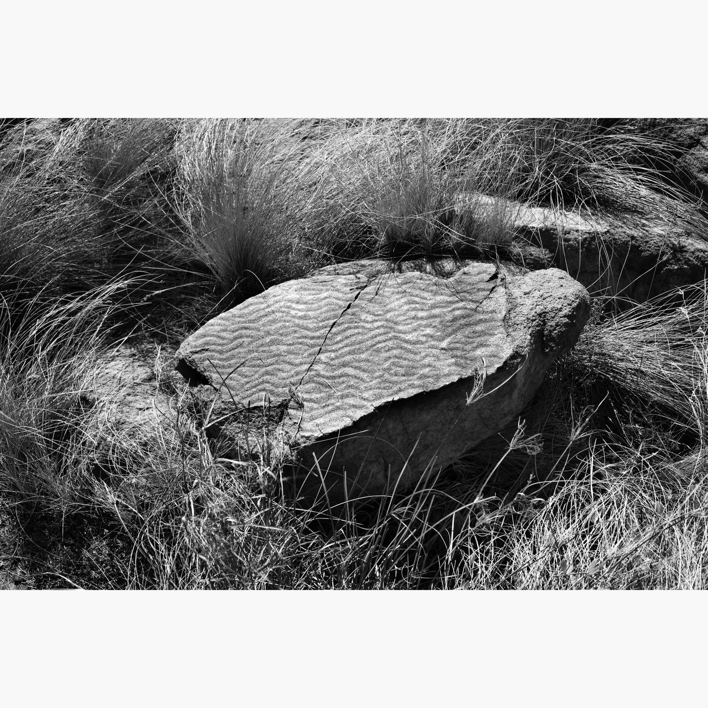Magalies 13