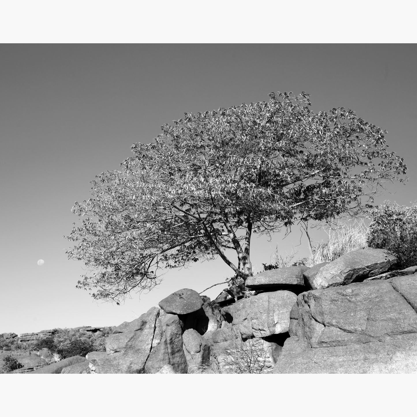 Magalies 15