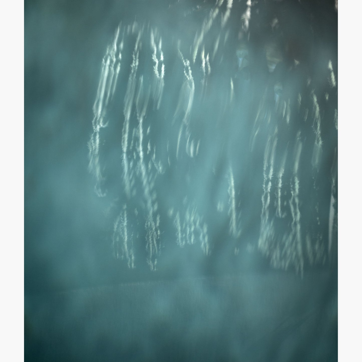 Still life 10