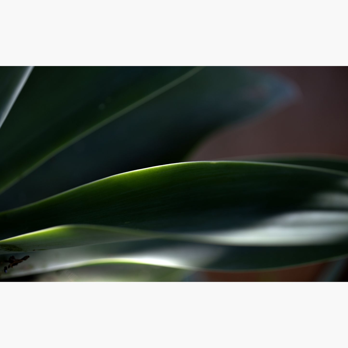 Still life 13
