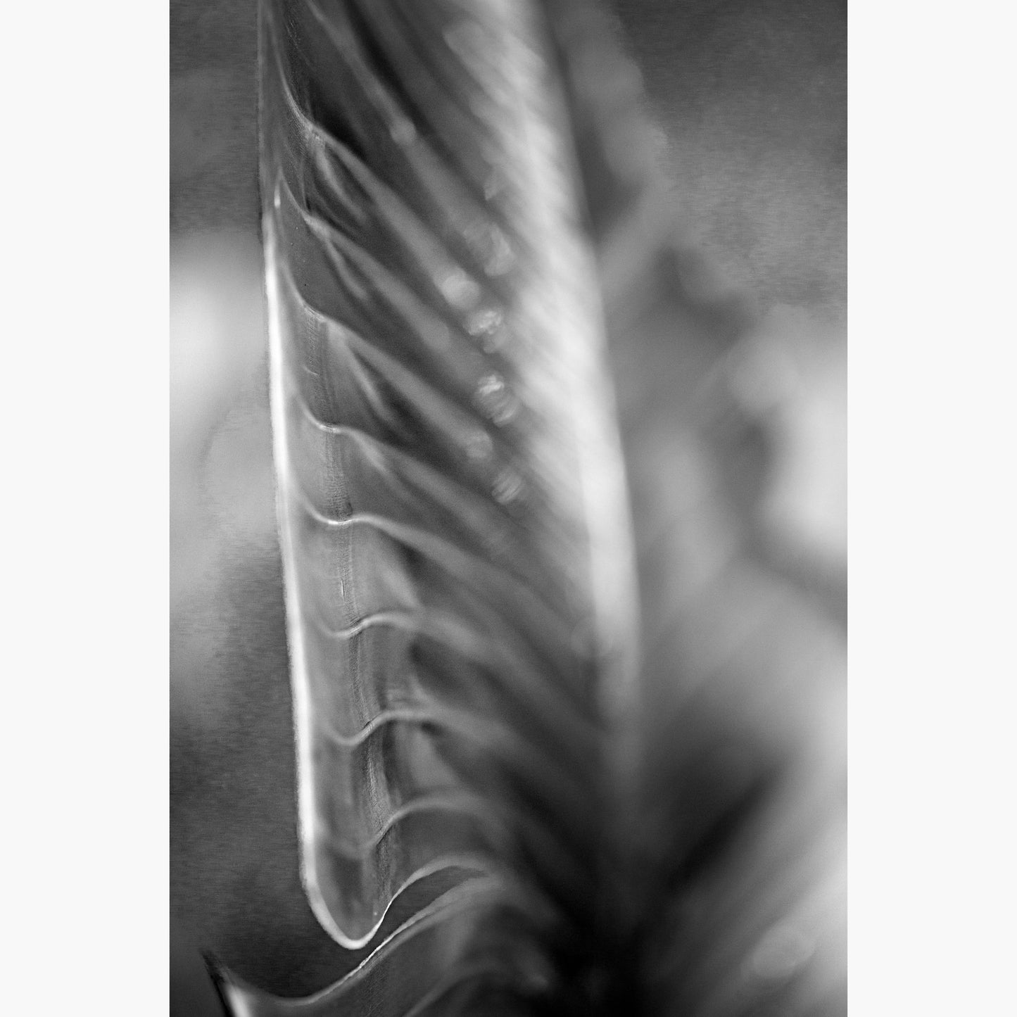 Still life 5