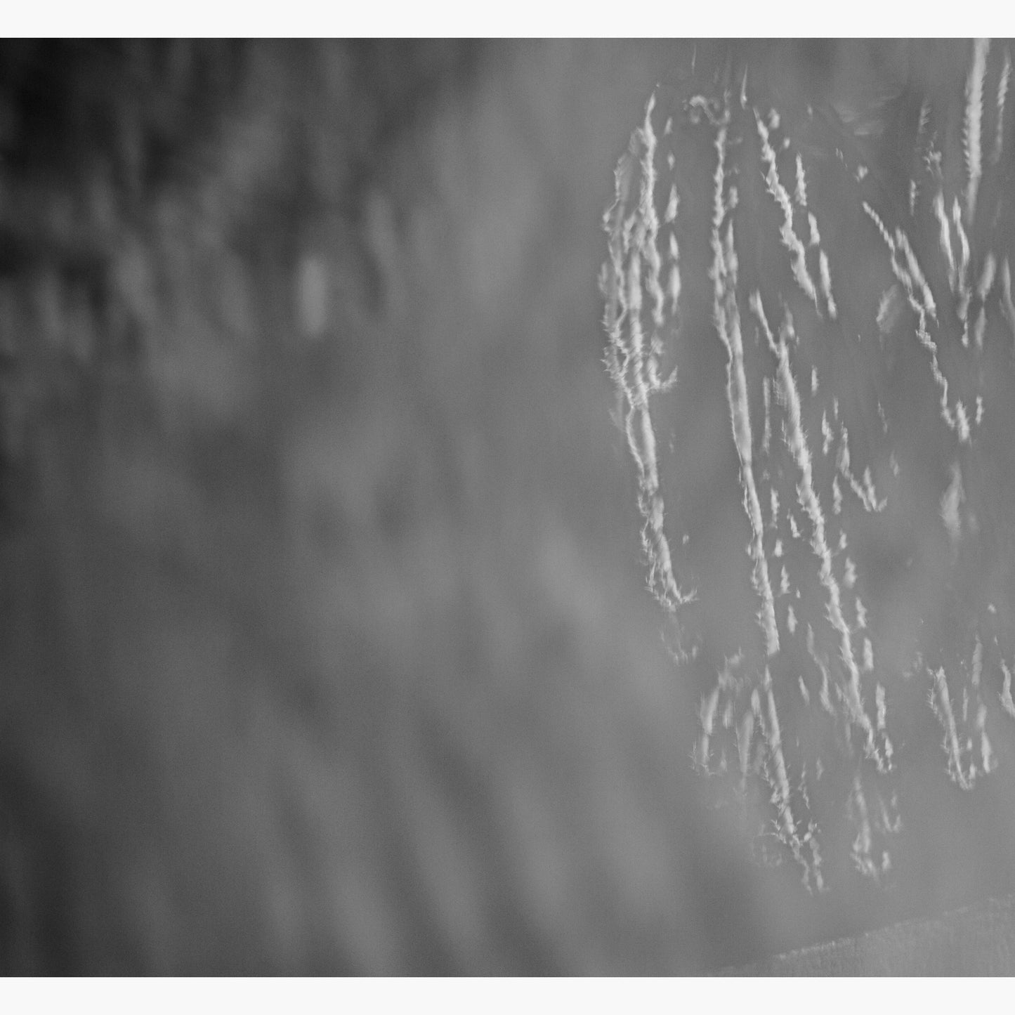 Still life 8