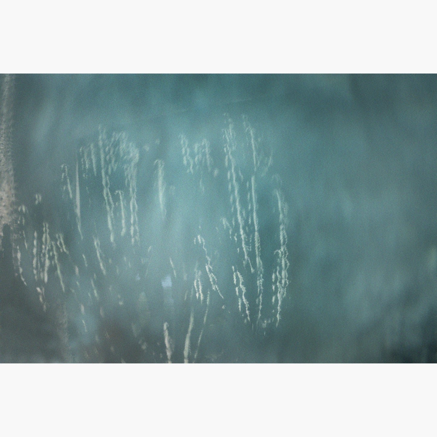 Still life 9
