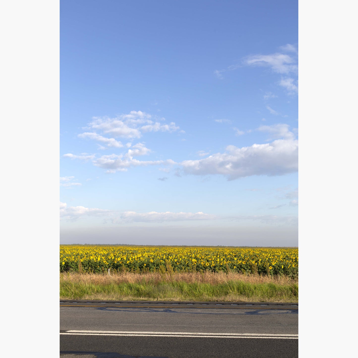 Landscapes 3