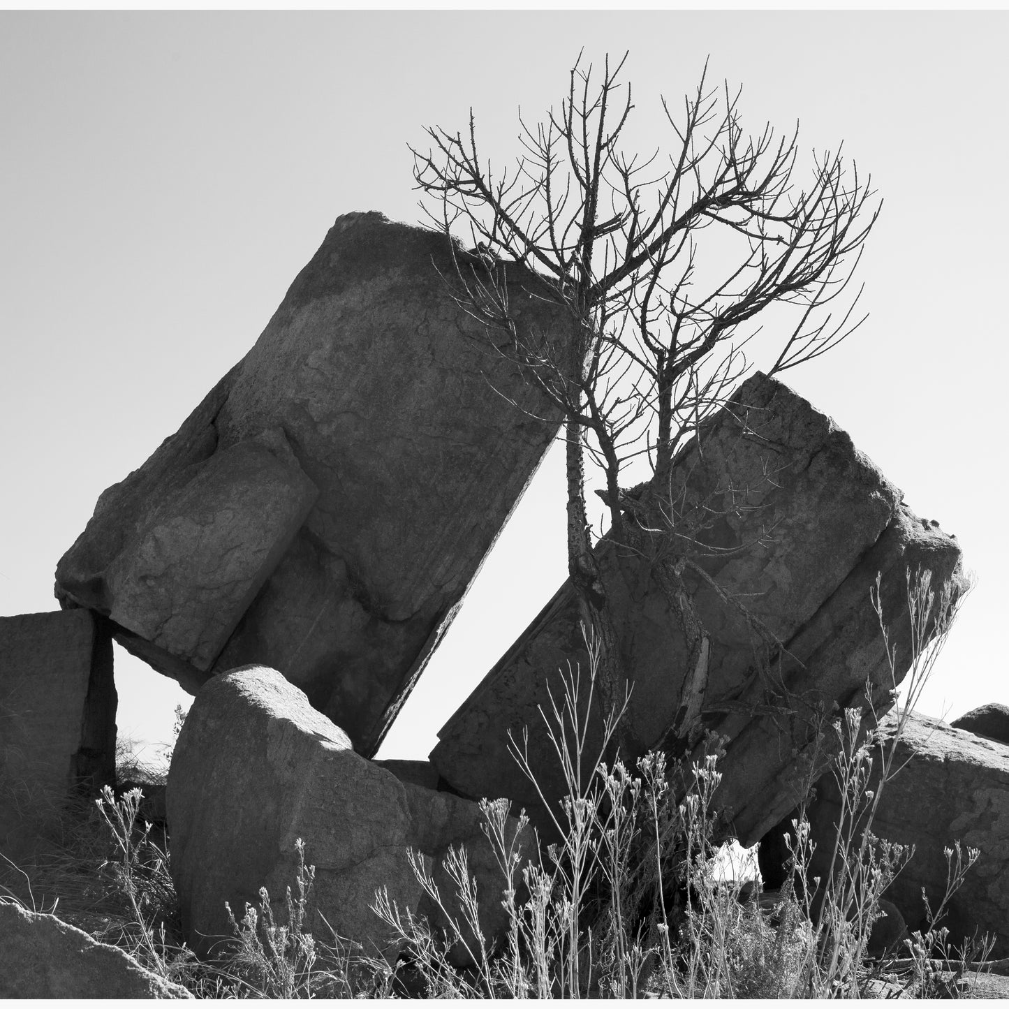 Magalies 5